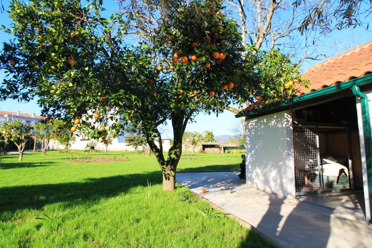 Casa Dos Ouricos Villa Понте де Лима Екстериор снимка